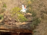 श्रीशैलम - श्री अक्कमादेवीची गुहा